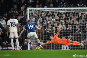 冲刺阶段西甲焦点战，里尔迎来里程碑，球迷炸锅，细节决定成败的简单介绍